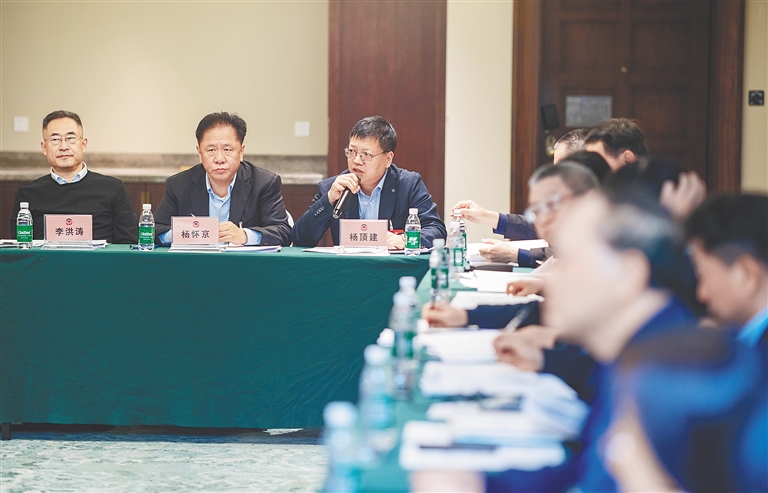 积极建言